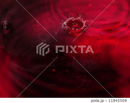 あかい王冠 11943509