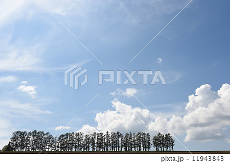 マイルドセブンの丘と青空 マイルドセブンの丘と青空 11943843