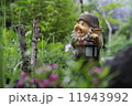 森の妖精 11943992