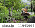 森の妖精 11943994