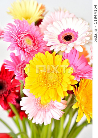 綺麗な花ガーベラのフラワーアレンジメント の写真素材