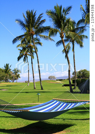 ハンモック 11944398