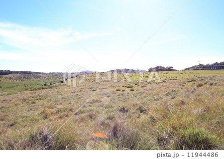 スリランカ・ホートンプレインズ国立公園 11944486