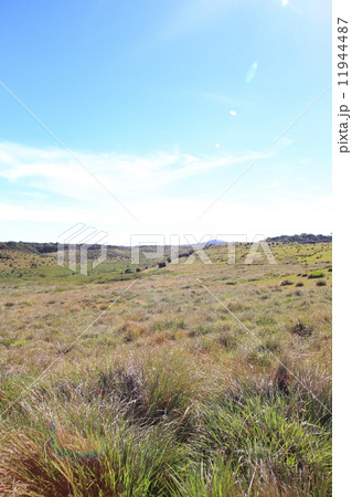 スリランカ・ホートンプレインズ国立公園 11944487