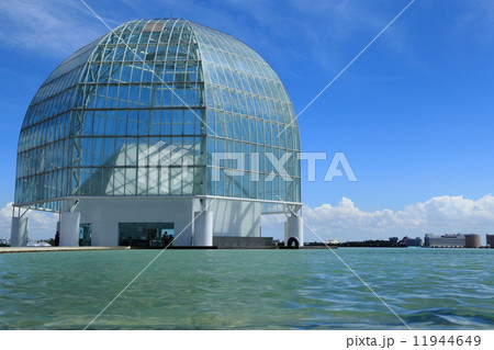 葛西臨海水族園 11944649