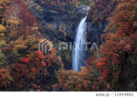 紅葉の惣滝 11944662