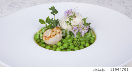 グリーンピース 貝柱 コース料理 グリーンピース 貝柱 コース料理 11944791