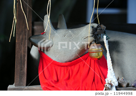 撫で牛-2 11944998