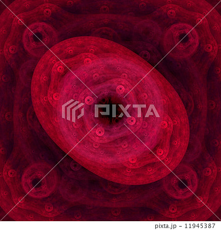 Symmetrical growth of bacteria 11945387
