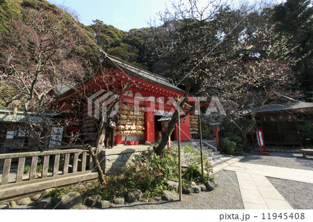 荏柄天神社の新春 荏柄天神社の新春 11945408