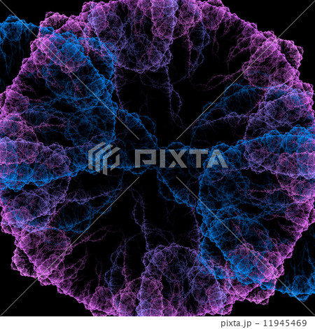 Symmetrical growth of bacteria 11945469