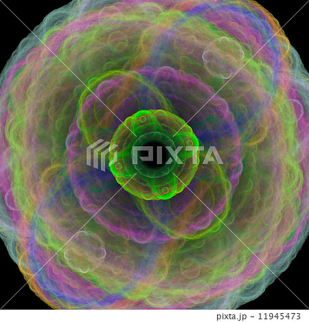 Symmetrical growth of bacteria 11945473