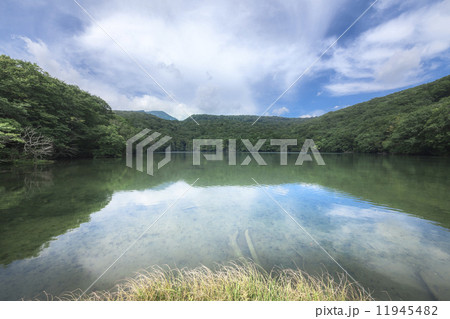 晩夏の八甲田蔦沼 11945482