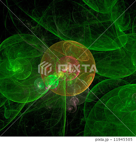 Symmetrical growth of bacteria Symmetrical growth of bacteria 11945505