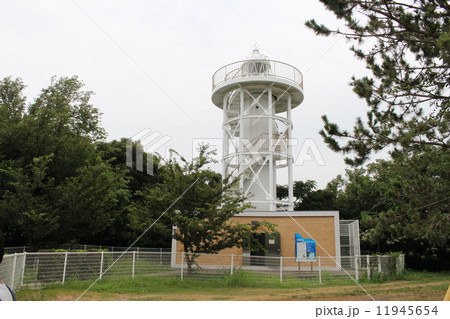 初島の灯台 11945654