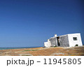 青と白 11945805