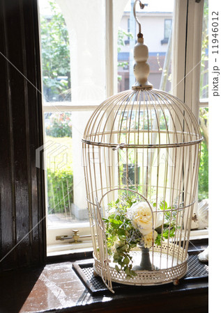 鳥篭 11946012