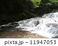 滝 11947053
