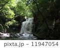 滝 11947054