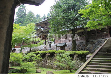 永平寺の中雀門 11947495