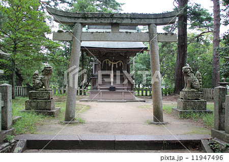 天橋立神社の鳥居 11947496