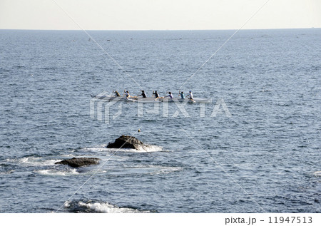 アウトリガーカヌー 11947513