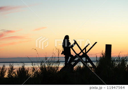Silhouette of a woman on a stile at twilight time 11947564