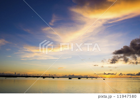 夕焼けオレンジ 夕焼けオレンジ 11947580