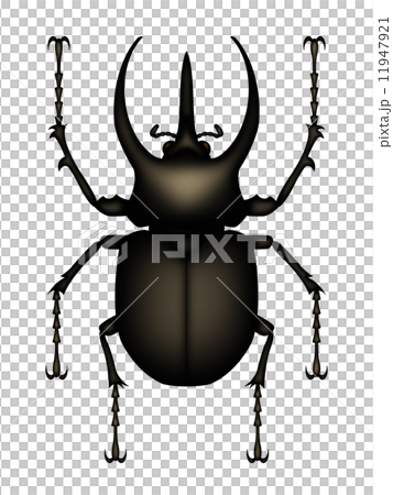 アトラスオオカブト 11947921