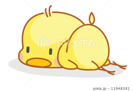 cute cartoon chicks posing sleep  11948391
