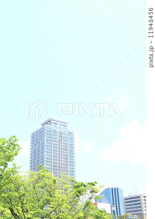 高層ビルと青空 高層ビルと青空 11948456