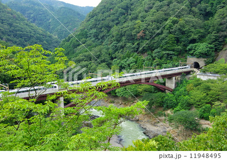 保津峡駅 11948495