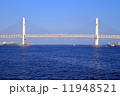 ベイブリッジの横顔 11948521
