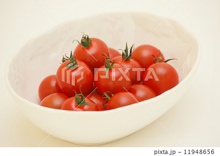 ミニトマト 11948656