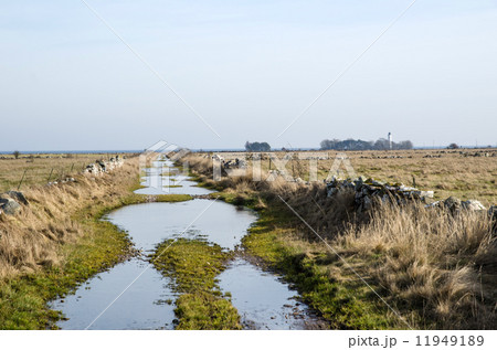 Flooded dirt road 11949189