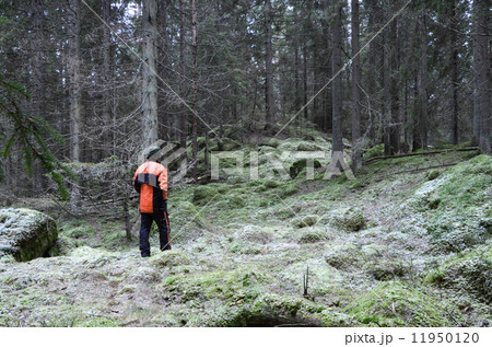 Woodman deep in the forest Woodman deep in the forest 11950120
