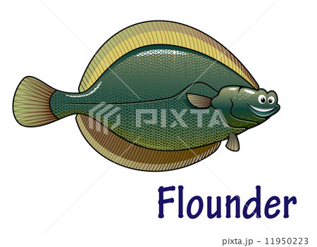 Flounder fish cartoon character 11950223