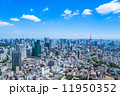 東京 東京 11950352