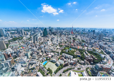 東京 11950353