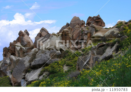 カッパドキア 11950783