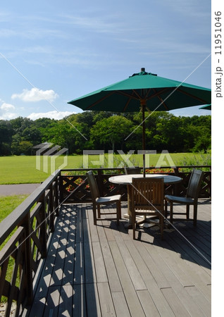 緑のガーデンデッキ 緑のガーデンデッキ 11951046