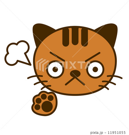 おこり顔ネコ 11951055