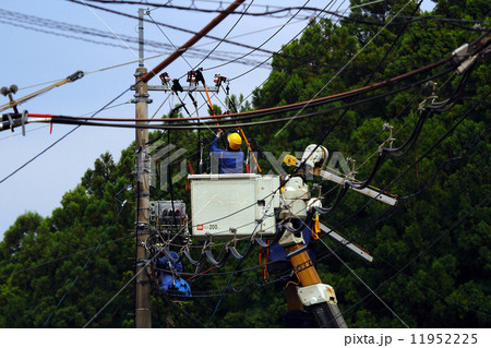 電力電線張替工事 電力電線張替工事 11952225