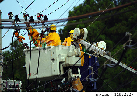 電力電線張替工事 電力電線張替工事 11952227