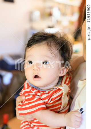 丸４ヶ月の愛娘 11953900