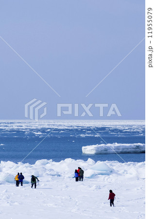 流氷 流氷 11955079