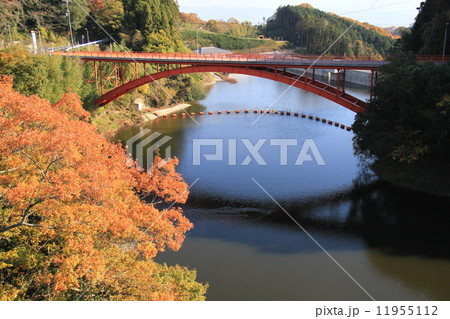 大門池 大門池 11955112