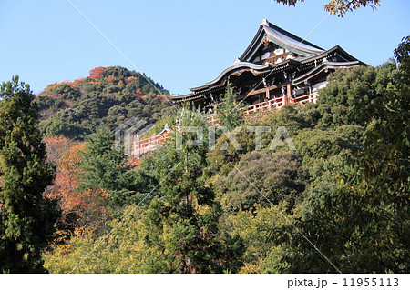 奈良県生駒宮朝護孫子寺の本堂 奈良県生駒宮朝護孫子寺の本堂 11955113