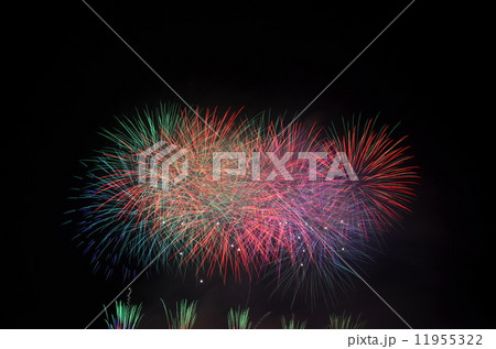 諏訪の花火 11955322
