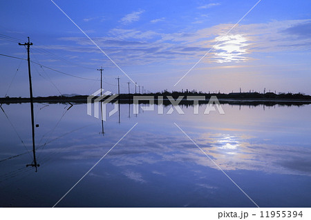 由布島の朝日 11955394